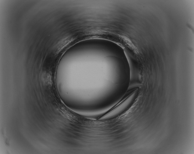 X0000091891209200709051337
