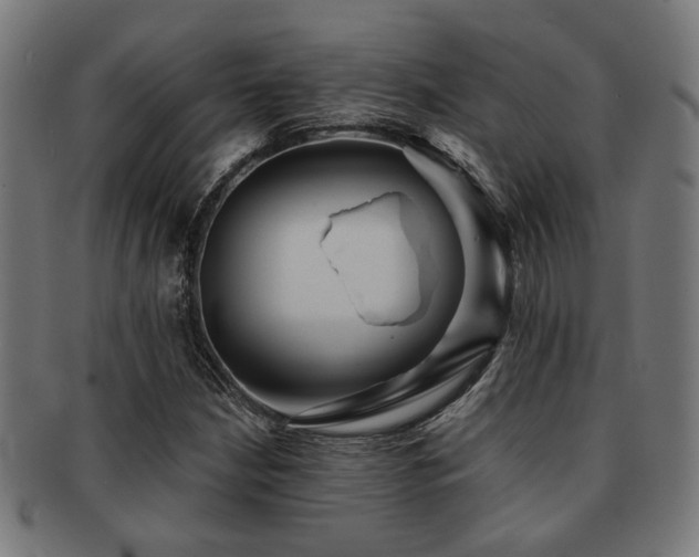 X0000091891210200709051337
