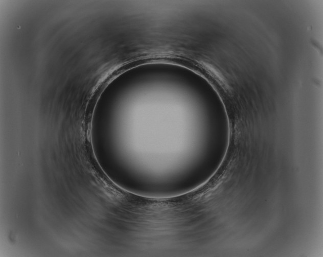 X0000091891212200709051337