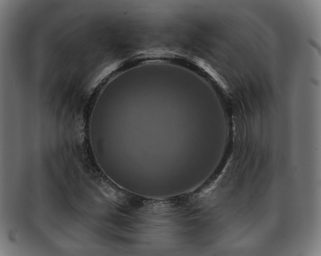 X0000091891213200709051337