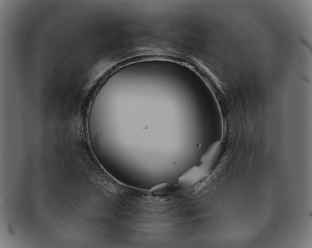 X0000091891215200709051337
