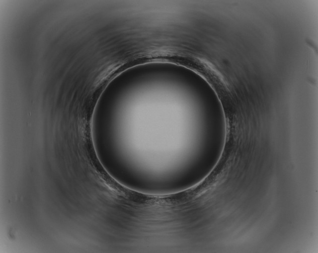 X0000091891217200709051337