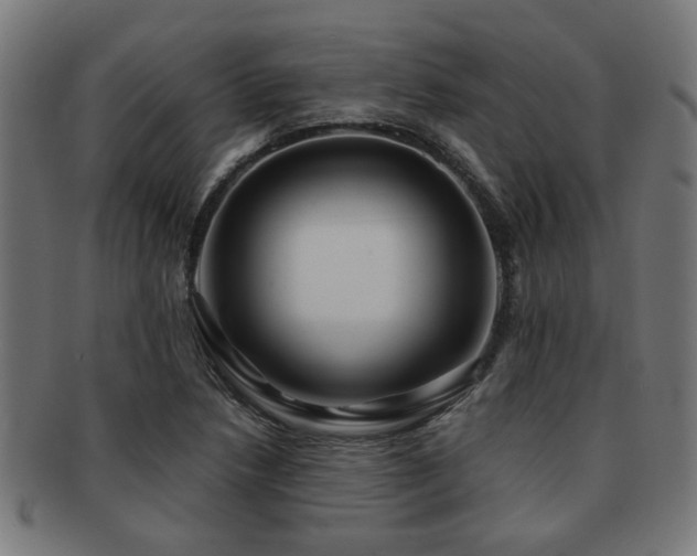 X0000091891218200709051337