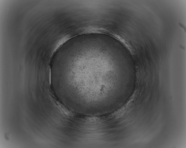 X0000091891219200709051337