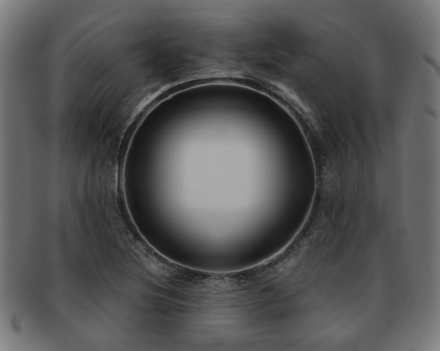 X0000091891220200709051337
