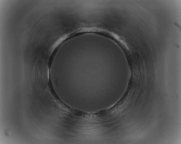 X0000091891221200709051337