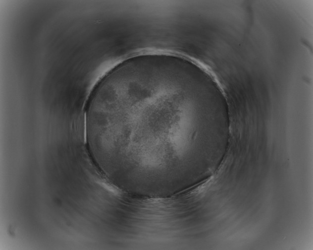 X0000091891223200709051337