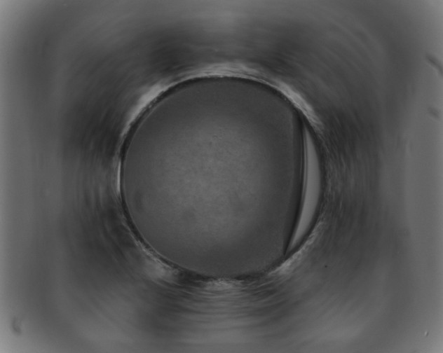 X0000091891224200709051337