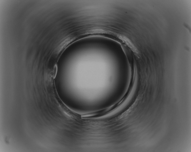 X0000091891225200709051337