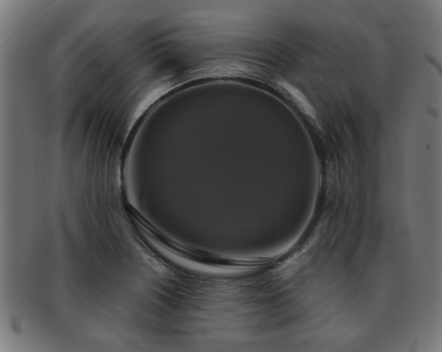 X0000091891226200709051337