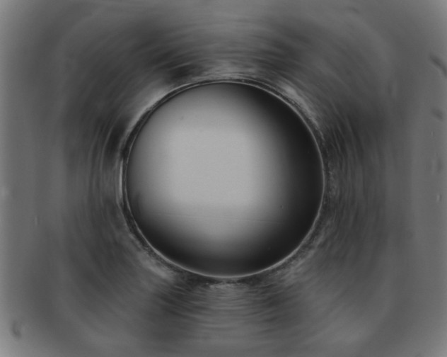 X0000091891227200709051337