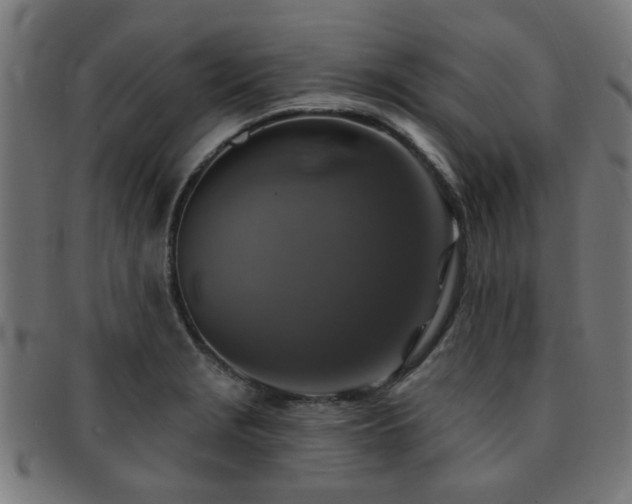 X0000091891229200709051337