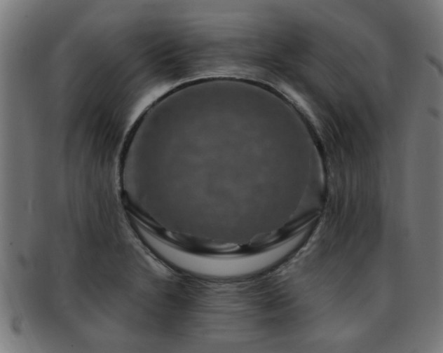 X0000091891230200709051337