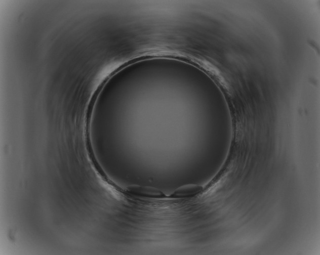 X0000091891231200709051337