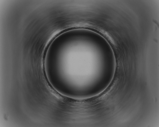 X0000091891232200709051337