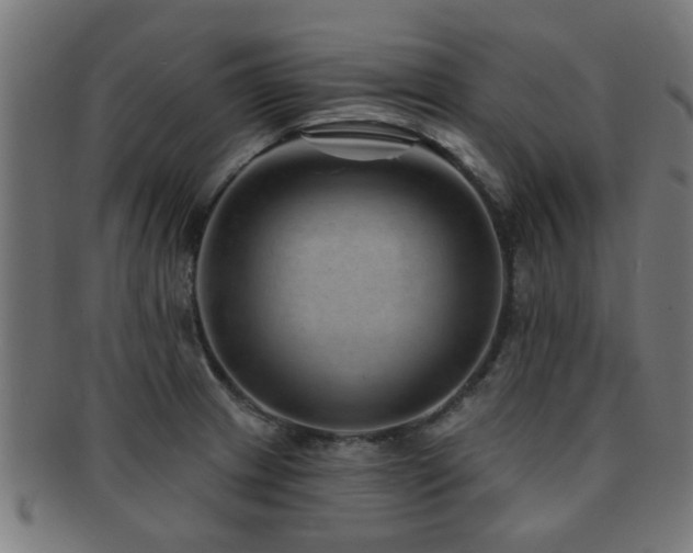 X0000091891233200709051337