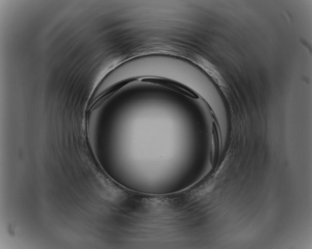 X0000091891234200709051337