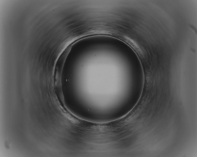 X0000091891236200709051337
