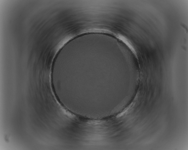 X0000091891237200709051337
