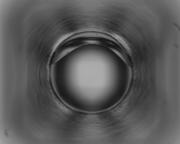 X0000091891238200709051337