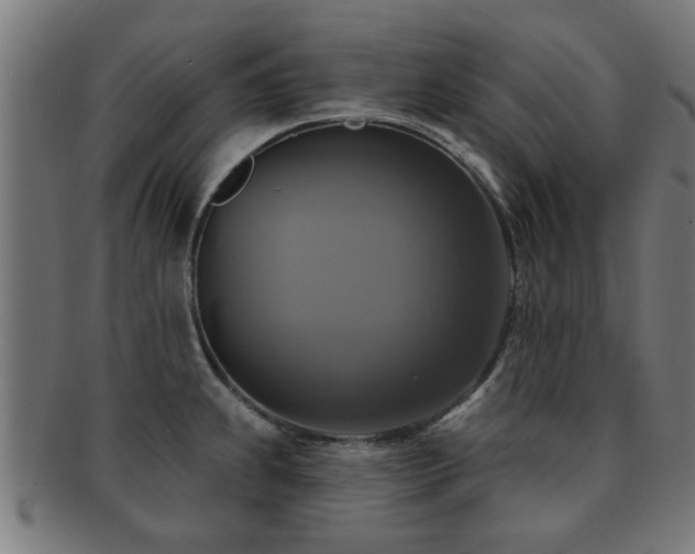 X0000091891239200709051337