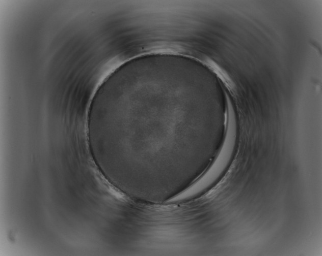X0000091891240200709051337