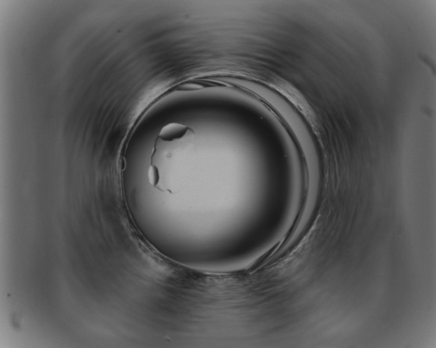 X0000091891242200709051337