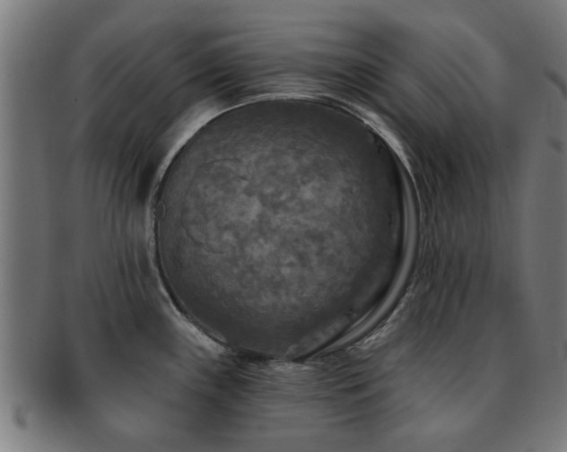 X0000091891243200709051337