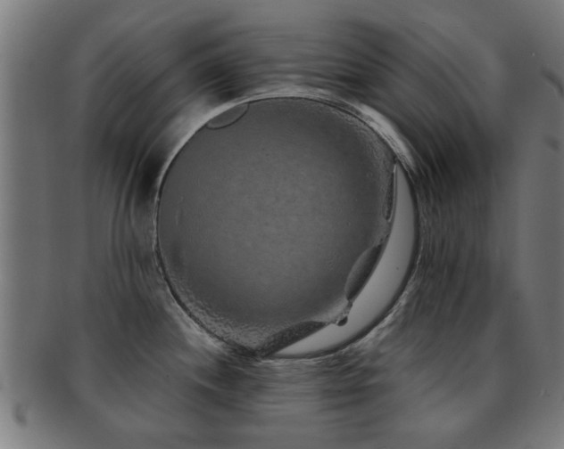 X0000091891244200709051337