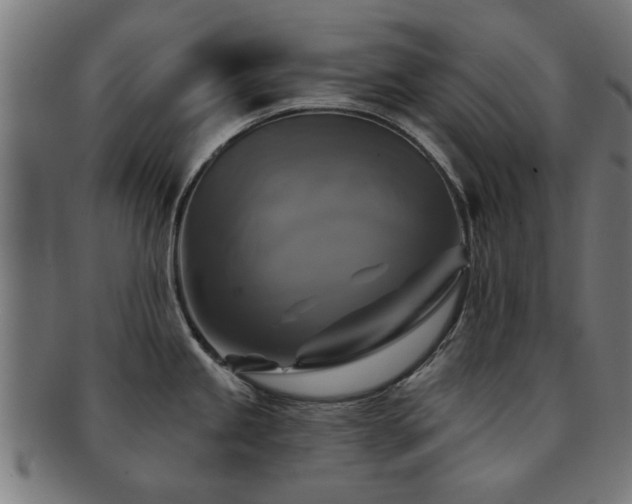 X0000091891245200709051337