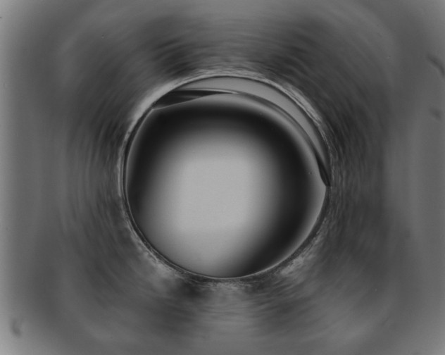 X0000091891246200709051337