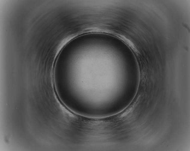 X0000091891247200709051337