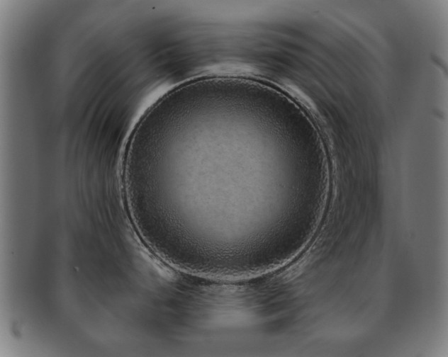 X0000091891248200709051337