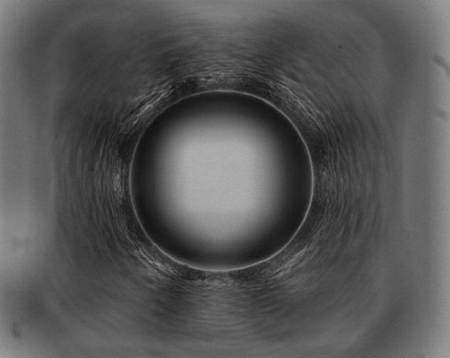 X0000091891250200709051337