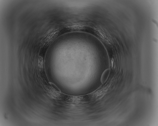 X0000091891251200709051337