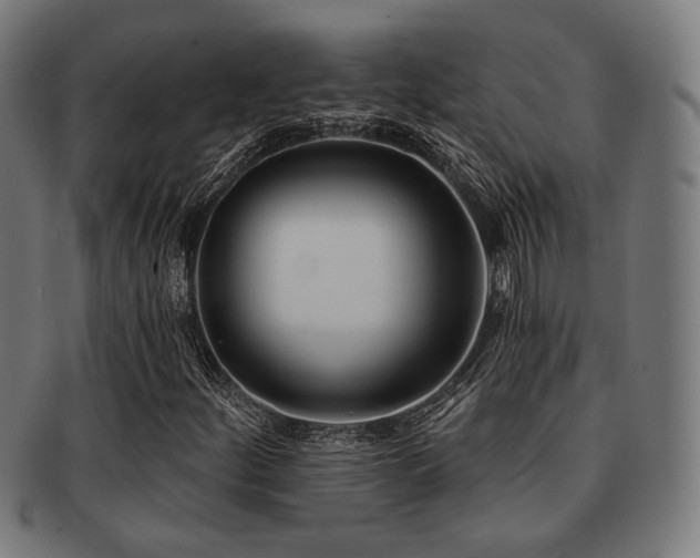 X0000091891252200709051336
