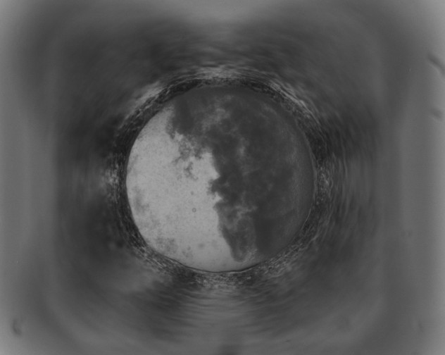 X0000091891254200709051336