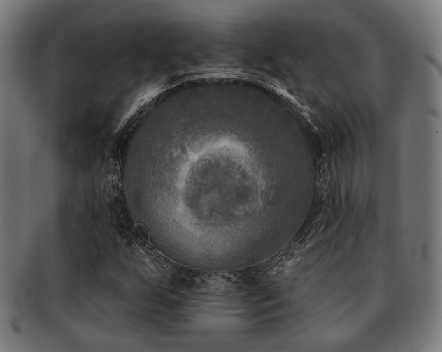 X0000091891255200709051336