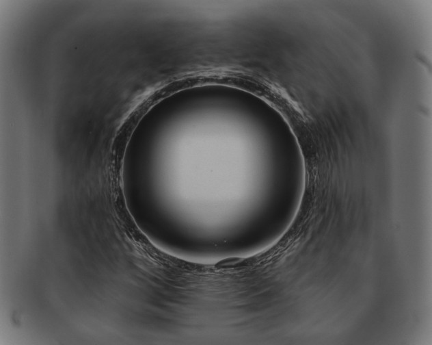 X0000091891256200709051336