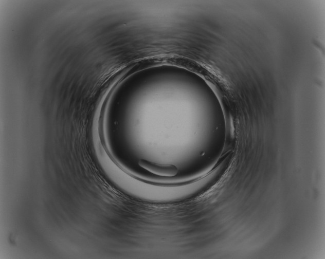 X0000091891257200709051336