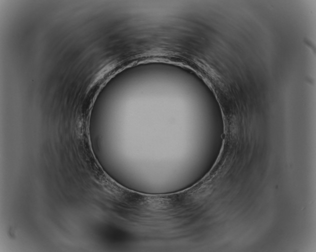 X0000091891258200709051336