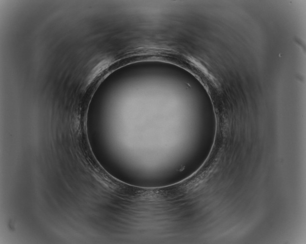 X0000091891259200709051336