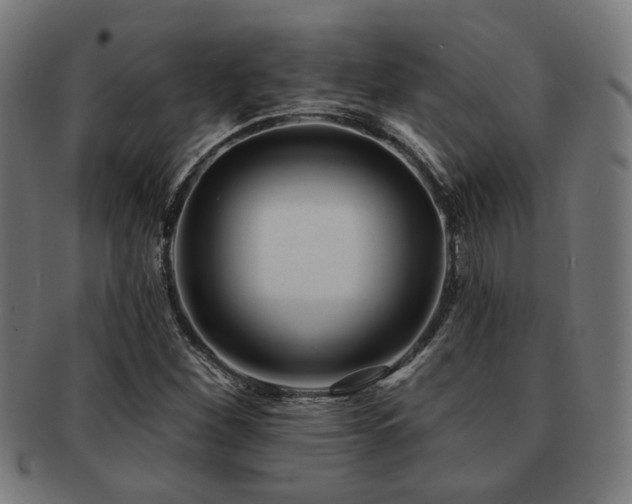 X0000091891260200709051336