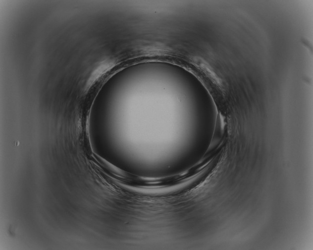 X0000091891261200709051336