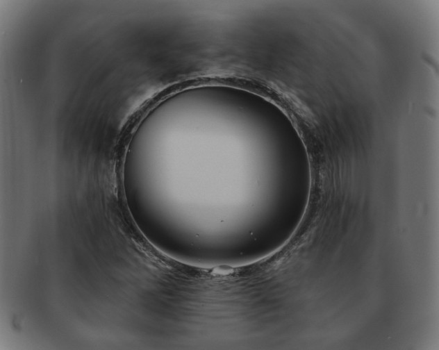 X0000091891262200709051336