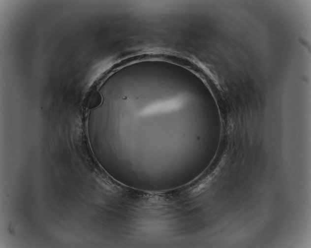 X0000091891263200709051336