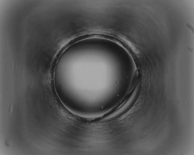 X0000091891264200709051336