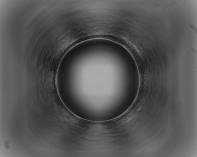 X0000091891265200709051336