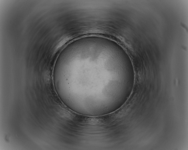 X0000091891266200709051336