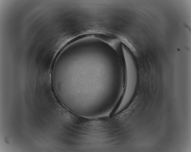 X0000091891268200709051336